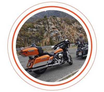 Harley Davidson cruisers parked on a clifftop with sea views on a tour